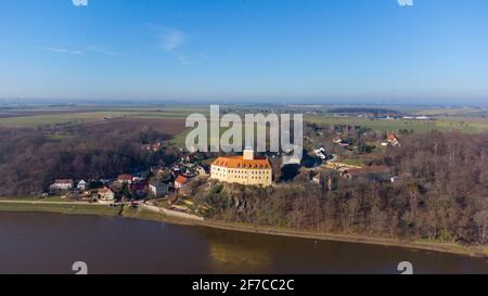 Winterakonit, gelbe Frühblüte im Frühjahr Stockfoto