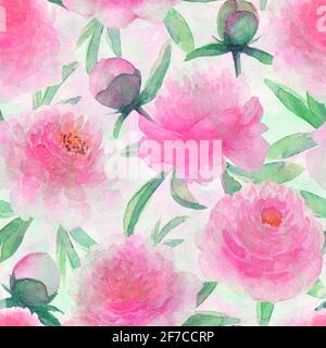 Aquarell rosa Pfingstrosen Blumen. Wunderschönes, florales Muster mit Pfingstrose. Aquarell handgezeichnet Frühling botanische Illustration Hintergrund. Drucken für t Stockfoto