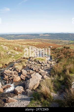 Torver Beck mit dem Grizedale Wald in der Ferne betrachtet Aus der Nähe der Torver-Brücke auf die Walna Scar Rd Coniston Lake District Cumbria England Stockfoto