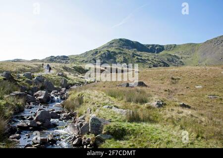 Dow Crag und der alte Mann von Coniston aus gesehen Die Ufer des Torver Beck Coniston Lake District Cumbria England Stockfoto