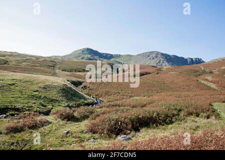 Dow Crag und der alte Mann von Coniston aus gesehen Die Ufer des Torver Beck Coniston Lake District Cumbria England Stockfoto