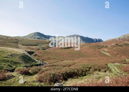 Dow Crag und der alte Mann von Coniston aus gesehen Die Ufer des Torver Beck Coniston Lake District Cumbria England Stockfoto