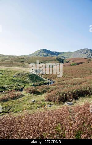 Dow Crag und der alte Mann von Coniston aus gesehen Die Ufer des Torver Beck Coniston Lake District Cumbria England Stockfoto