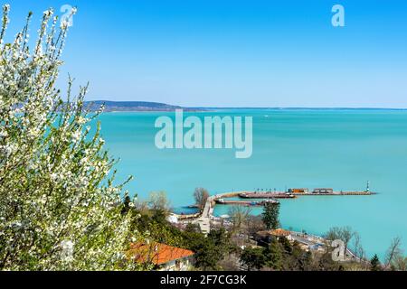 Blick von der Tihany Abtei am Plattensee über den tihany Pier Frühling mit blühendem Baum. Stockfoto