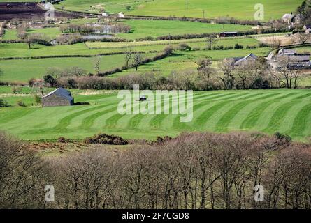 Preston, Lancashire, Großbritannien. April 2021. Rollendes Gras zwischen Schneeschauern, Longridge, in der Nähe von Preston, Lancashire. Quelle: John Eveson/Alamy Live News Stockfoto