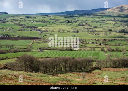 Preston, Lancashire, Großbritannien. April 2021. Rollendes Gras zwischen Schneeschauern, Longridge, in der Nähe von Preston, Lancashire. Quelle: John Eveson/Alamy Live News Stockfoto