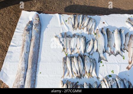 Fischmarkt im Hafen von Essaouira, Marokko Stockfoto