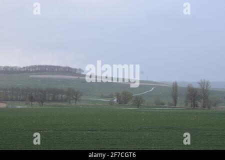 Frühling in der Eifel, Thüringer Wiesen Stockfoto