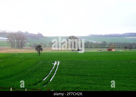 Frühling in der Eifel, Thüringer Wiesen Stockfoto