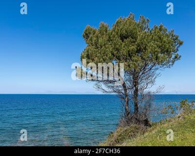 Cilento, Natur, Italien Stockfoto