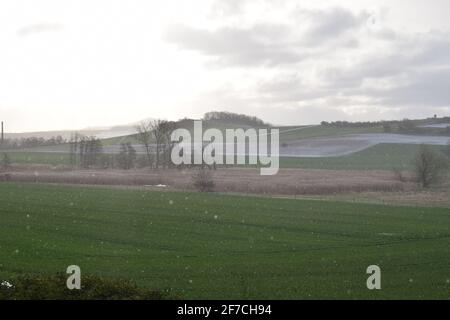 Frühling in der Eifel, Thüringer Wiesen Stockfoto