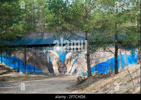 Ex-Warschauer Pakt-Ersatzkommando im Kampinos-Nationalpark, Polen Stockfoto