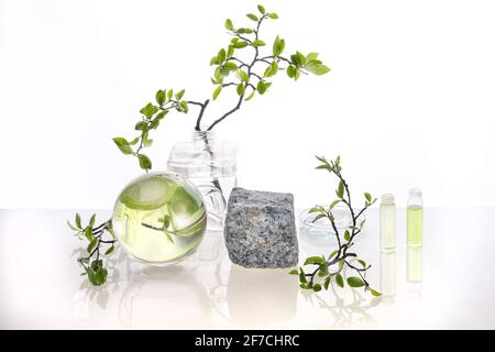 Natural Green Labor. Abstraktes Blumenarrangement. Graues Granitpodium, Platz für Ihr Produkt. Spiegelungen von Blättern, die im Wasser verzerrt sind Stockfoto