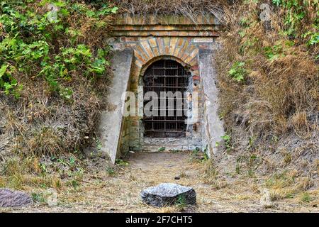 Der Eingang zu einem Bunker im Wald. Stockfoto