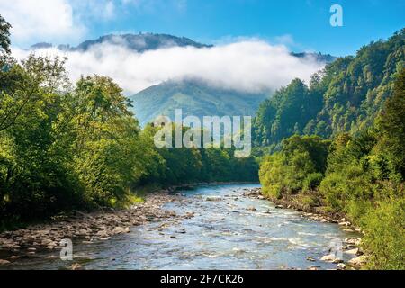 Gebirgsflußlandschaft im Sommer. Herrliche Naturkulisse am nebligen Morgen. Wolken Rollen über den fernen Hügel. Bäume entlang des Baches im val Stockfoto