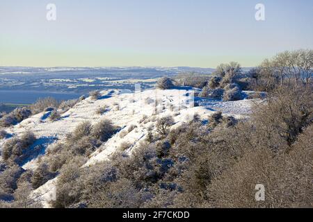 Winter in den Cotswolds Dezember 2017 - Schnee auf Haresfield Beacon, Gloucestershire Großbritannien Stockfoto