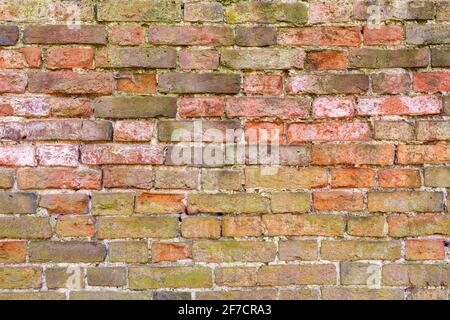 Mehrfarbige Backsteinwand Hintergrund Vielzahl von Ziegeln Backsteinwand gemacht Mit alten wiedergewonnenen Steinen Foto in hoher Auflösung und hoher Qualität Stockfoto