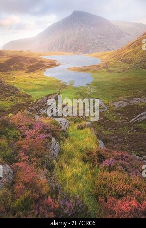 Dramatische, farbenfrohe Landschaft von Cwm Idwal in den Gyderau-Bergen des Snowdonia National Park in Nordwales bei Sonnenuntergang oder Sonnenaufgang. Stockfoto