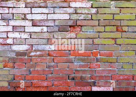 Mehrfarbige Backsteinwand Hintergrund Vielzahl von Ziegeln Backsteinwand gemacht Mit alten wiedergewonnenen Steinen Foto in hoher Auflösung und hoher Qualität Stockfoto