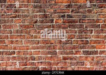 Backsteinwand Hintergrund Vielzahl von Ziegeln Backsteinwand mit gemacht Regelmäßige neue Hausziegel hohe Auflösung hohe Qualität Foto Stockfoto