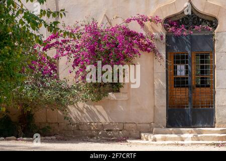 Landon Garden in Biskra, Algerien Stockfoto