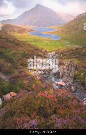 Dramatische, farbenfrohe Landschaft am Cwm Idwal in den Gyderau-Bergen des Snowdonia National Park in Nordwales bei Sonnenuntergang oder Sonnenaufgang. Stockfoto