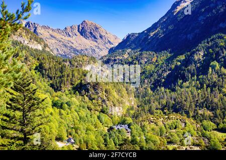 Blick auf die Wälder und den Berg auf dem Weg zu den Aigualluds, Benasque, Aragon, Spanien Stockfoto
