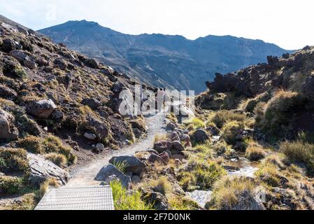 Wandern auf dem Tongariro Alpine Crossing, Northern Circuit des Tongariro National Park in Neuseeland Stockfoto