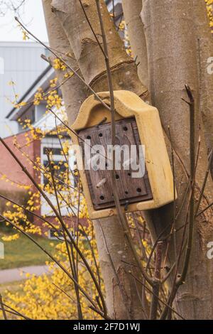 An einem Baum hängt ein Insektenhotel für überwintern Insekten Stockfoto