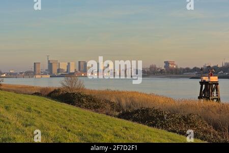 Die Skyline von Antwerpen über den Fluss Schelde mit dem MAS-Museum, alten Industriekranen und neuen Wolkenkratzern im warmen Abendlicht Stockfoto