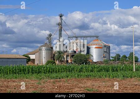 Maisfeld- und Commil-Silos zur Lagerung geernteter Sojabohnen/Sojabohnen/Sojabohnen im ländlichen Alto Paraná, Paraguay Stockfoto