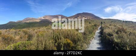 Wandern am Ketetahi-Ende des Tongariro National Park, Neuseeland Stockfoto