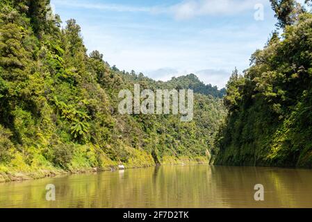 Tour auf dem unberührten Whanganui Fluss und durch den umliegenden Dschungel, Nordinsel von Neuseeland Stockfoto