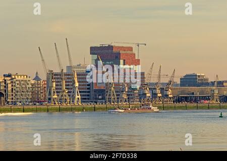 Die Skyline von Antwerpen über den Fluss Schelde mit dem MAS-Museum, alten Industriekranen und neuen Wolkenkratzern im warmen Abendlicht Stockfoto