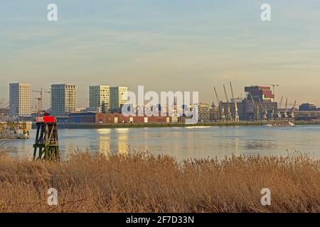 Die Skyline von Antwerpen über den Fluss Schelde mit dem MAS-Museum, alten Industriekranen und neuen Wolkenkratzern im warmen Abendlicht Stockfoto