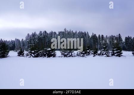 Landschaftlich schöner Blick auf eine Winterlandschaft gegen den Himmel Stockfoto