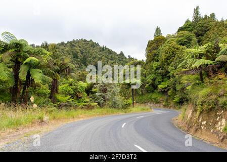 Kurvige Straße im Stadtteil Whanganui, Neuseeland Stockfoto