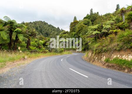 Kurvige Straße im Stadtteil Whanganui, Neuseeland Stockfoto