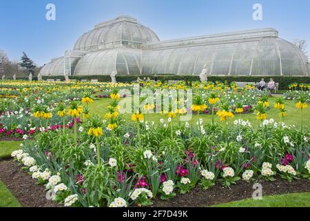 The Palm House Parterre im Frühjahr, Royal Botanical Gardens, Kew, London Borough of Richmond upon Thames, Greater London, England, Vereinigtes Königreich Stockfoto