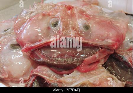 Seeteufel auf einem mediterranen Markt Stockfoto
