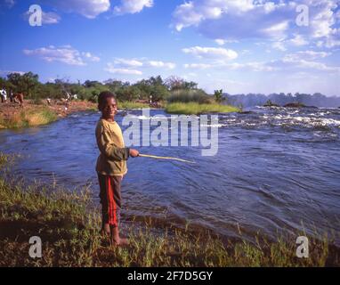 Jungfischen, Victoria Falls (Mosi-oa-Tunya), Livingstone, Südprovinz, Sambia Stockfoto