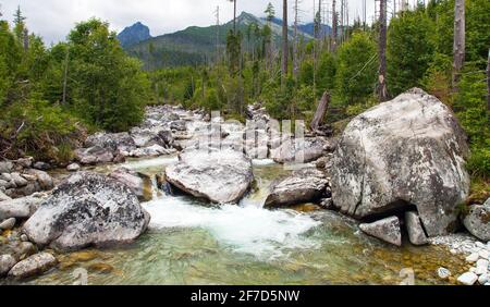 Wasserfälle am Bach Studeny potok in der Hohen Tatra, Karpaten, Slowakei Stockfoto