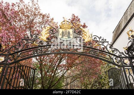 East Surrey Regiment Ziertore und Wappen, All Saints Church, Market Place, Kingston upon Thames, Kingston, Surrey, England, Großbritannien Stockfoto