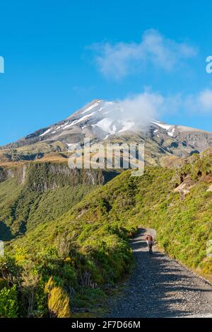 Wandern auf dem Mount Taranaki an einem sonnigen Sommertag, Neuseeland Stockfoto