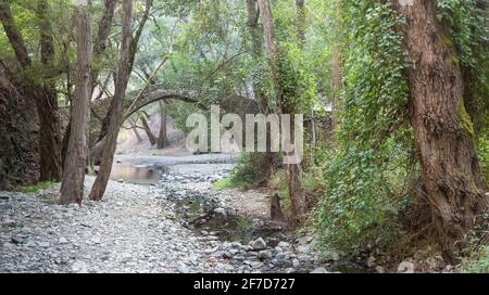 Tzelefos (Kelefos) Brücke im Paphos Wald, größte und berühmteste mittelalterliche Brücke in Zypern Stockfoto