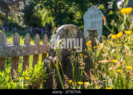 Alte Grabsteine auf dem Bolton Street Cemetery in Wellington, Neuseeland Stockfoto