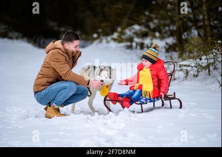 Familienspaziergang im Winterwald mit Huskies, glücklicher Tochter und Papa, die mit einem Hund spielen.neu Stockfoto