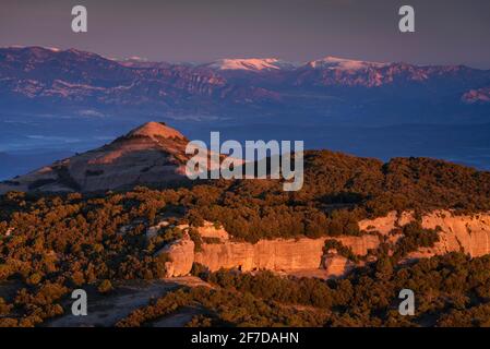 Wintersonnenaufgang vom Gipfel von La Mola. Blick auf Montcau, Katalonien und die Pyrenäen (Sant Llorenç del Munt, Katalonien, Spanien) Stockfoto