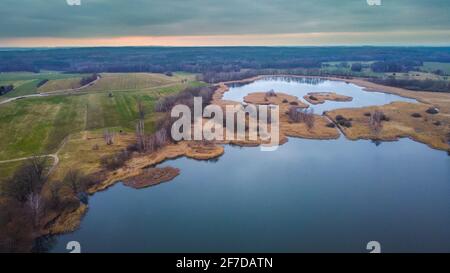 Crocusses im Frühjahr in München Bayern Stockfoto