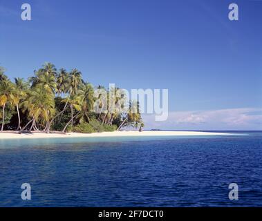 Malediven. Kuda Bandos Island. Strandszene mit Kokospalmen. Stockfoto